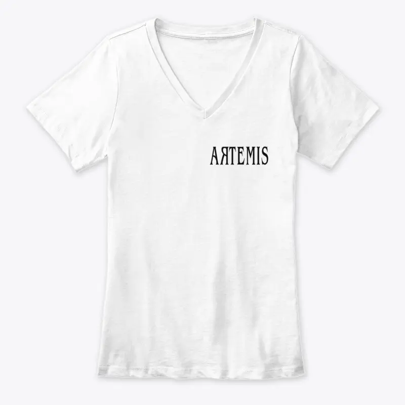 Season 1 The Sailing Project Artemis