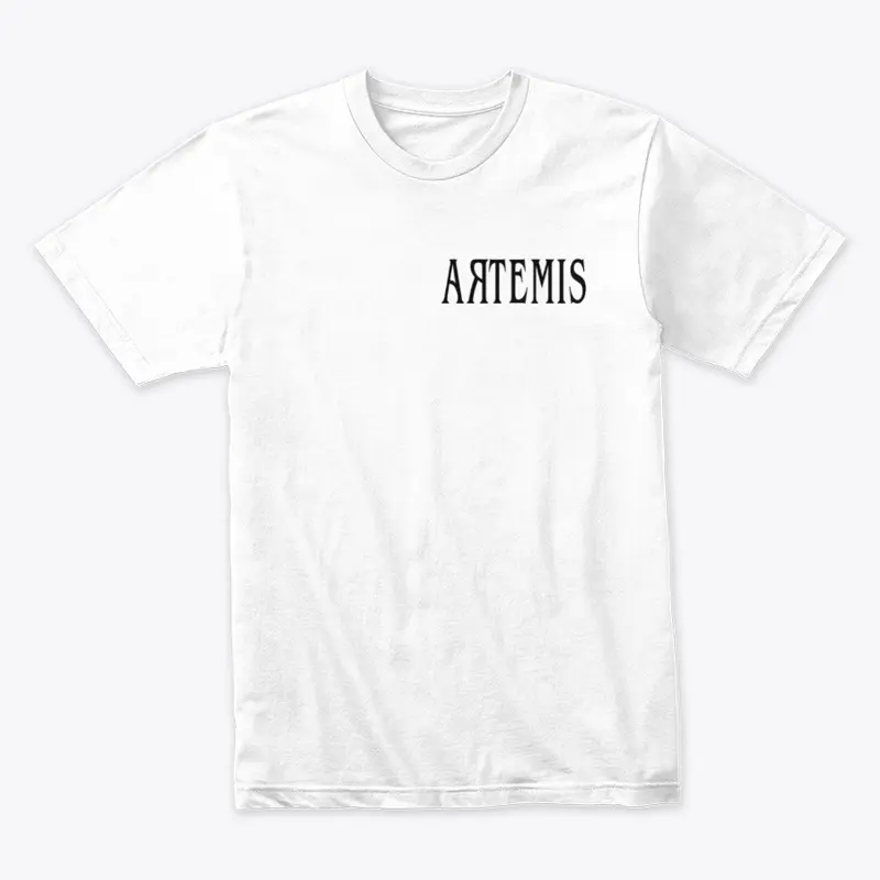 Season 1 The Sailing Project Artemis